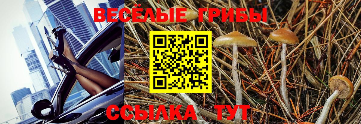 Бугуруслан  Галлюциногенные грибы прущие грибы  наркотики  Псилоцибиновые грибы ЛСД  Вход с VPN 
